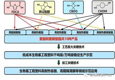 中科院宁波所生物基高分子团队获批国家重点研发计划项目，推动生物基材料技术研发