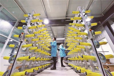 加速生物基材料技术研发与产业化，引领绿色新材料革命