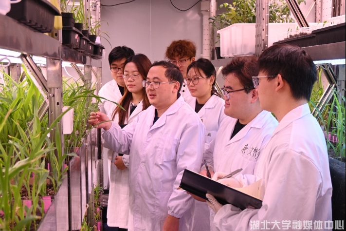 突破生物基材料新纪元 湖北大学获国家重点研发计划2386万元资助